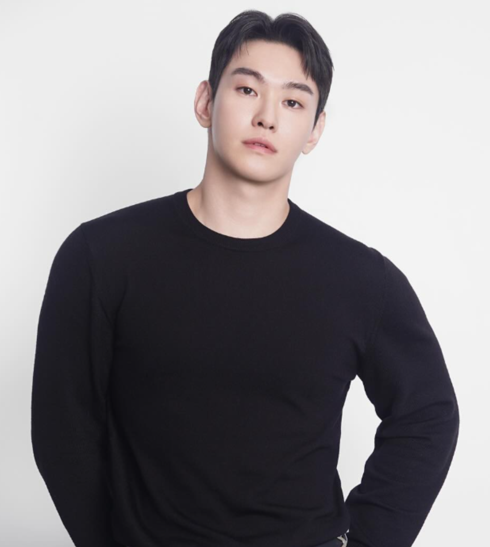HOSEK AI 모델 프로필